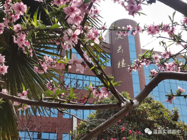教學(xué)樓展示